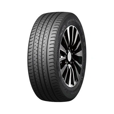 255/45ZR19 DSU02 104W DOUBLESTAR