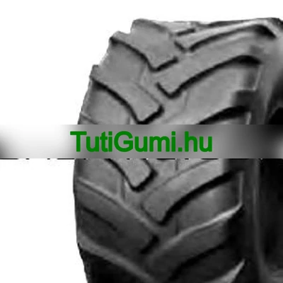TVS 320/60-12 IM162 132/120A8 TT